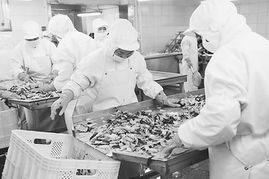 宏大食品公司联合菜农成立农友蔬菜专业合作社