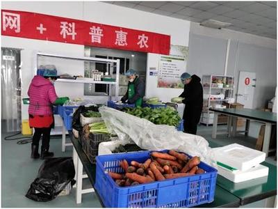 新鲜蔬果宅直送,“妇”字号基地奋力保障市民菜篮子