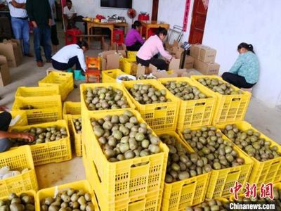 中南大学因地制宜产业扶贫“造血”富民