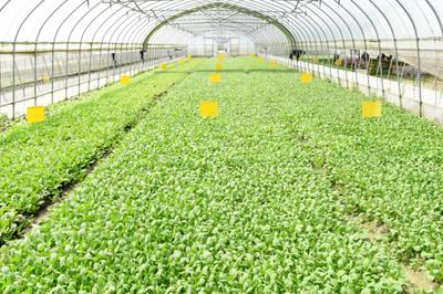 生态循环农业来了!重固以绿色发展引领乡村振兴