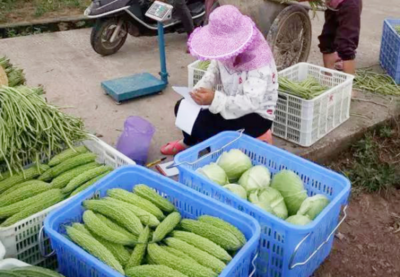 科学助力扶贫!大棚蔬菜“种出”致富经,光伏发电“照亮”新生活