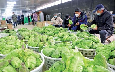 暖胃!暖心!这些浦东人将蔬果、大米、爱心餐送到一线工作者和需要的人手中…