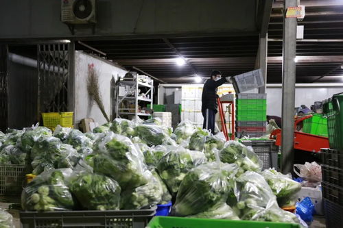 嘉定战 疫 十二时辰,分秒必争