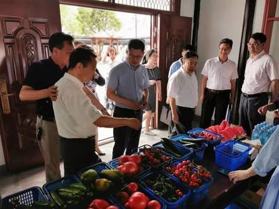 【乡村振兴】区领导赴罗店镇天平村调研乡村振兴示范村建设情况