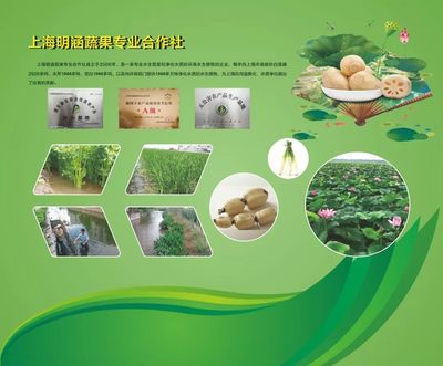 【周浦要闻】农博会来了!周浦农产品超有料!这个周末约不约?