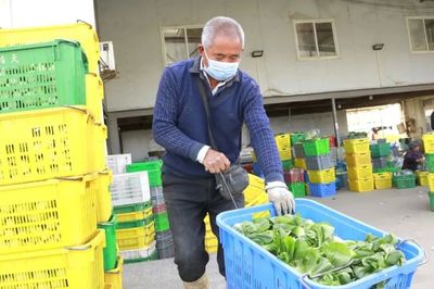 抢收抢种、调配蔬菜!他们正全力保障市场供应