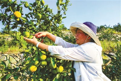 宁波日报社数字报刊平台