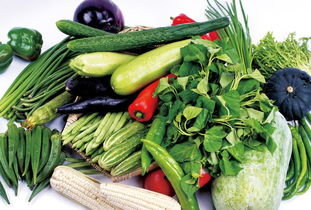 舌尖上的扶贫 那些你身边的南部农特产品