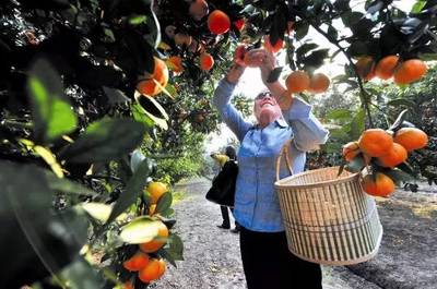 端午三天小长假,好玩的全在松江.