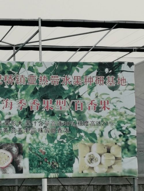 上海市果品行业协会秘书处负责人考察上海翠谷果蔬专业合作社