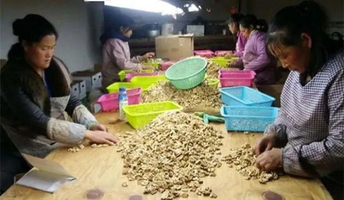 致富不忘本坚守初心助脱贫,她热心公益事业的身影真美