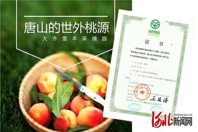 丰南区大齐各庄镇雪丰果蔬种植专业合作社