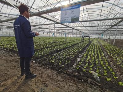 开眼界!这个基地蔬菜生产“机器换人”