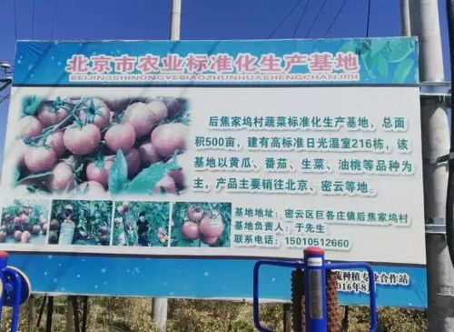 2018年北京农业好基地丨北京密联益果蔬种植专业合作社