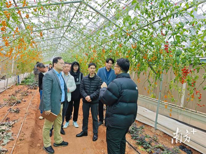 政企协联动共谋广东蔬菜产业高质量发展