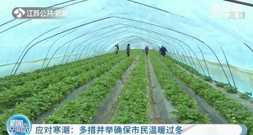 江苏全省大幅降温 各地多措并举确保温暖过冬