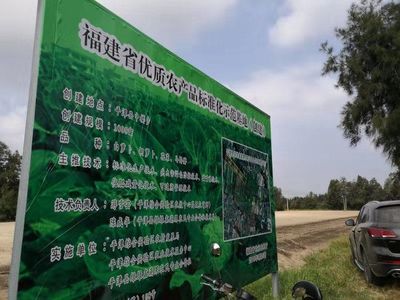 平潭:区农业农村局开展2019年省级优质农产品(蔬菜)标准化示范基地项目验收