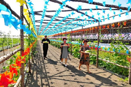 改革开放40年 把 九里邨 系列产品推向全国