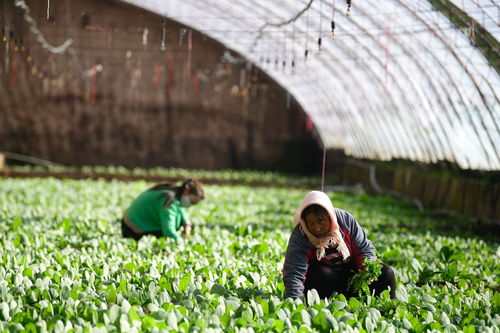 基于共同富裕目标 不断完善金融服务机制