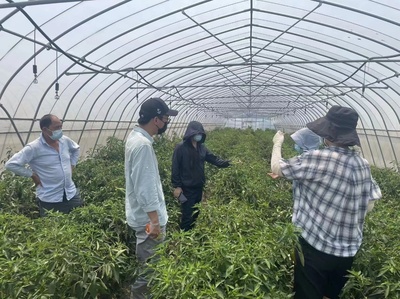 不惧高温“烤”验!致敬宝山这群最可爱的人!