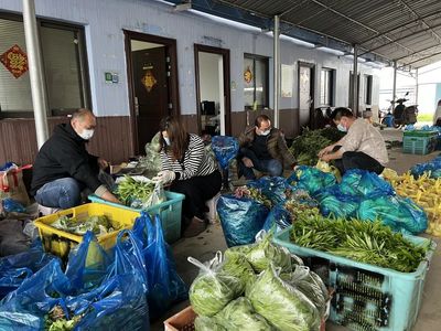 加班加点采收打包，宝山蔬菜安心包从田头直送社区