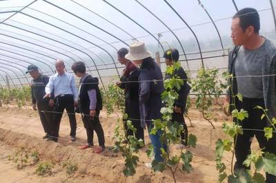 清徐蔬果专业合作社及个人荣膺国家级省级荣誉