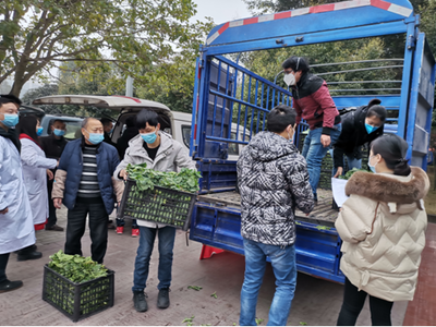 大足6家爱心企业为抗疫一线送去近3吨蔬果