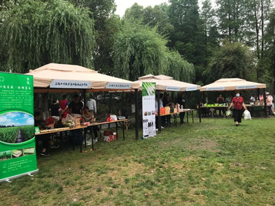 线上线下创新农业发展，“品牌化”激活乡村振兴新动能——以蔬果专业合作社为例