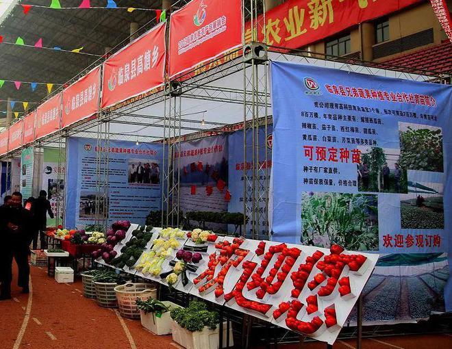 下活“特色棋” 临泉蔬果专业合作社的产业振兴新路径