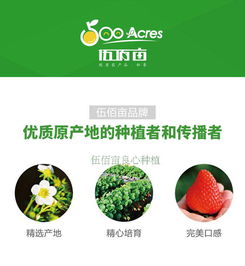 丹东市伍佰亩果蔬专业合作社——优质草莓批发采购指南