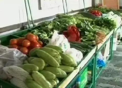 重庆农业战线抗疫情抓生产系列报道 区县供销社联防联控保供应，蔬果专业合作社稳产保供显担当