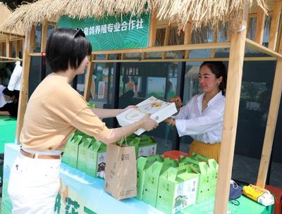 奉贤田间玻璃屋 全年时令土产与本地高品质蔬果、鸽子蛋的汇聚地
